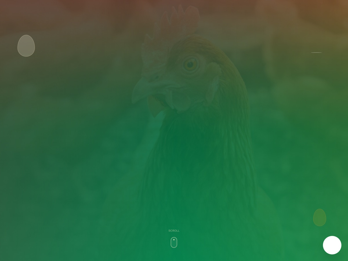Live preview of the Tcode Farms website